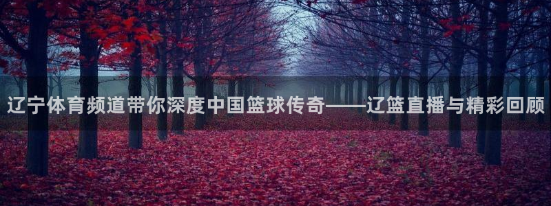 辽宁体育频道带你深度中国篮球传奇——辽篮直播与精彩回顾
