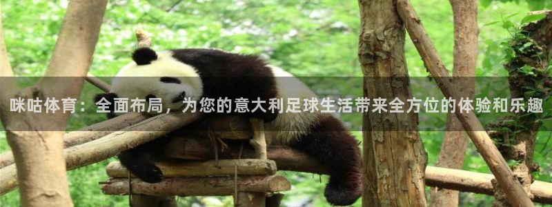 咪咕体育：全面布局，为您的意大利足球生活带来全方位的体验和乐趣