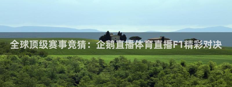 全球顶级赛事竞猜：企鹅直播体育直播F1精彩对决