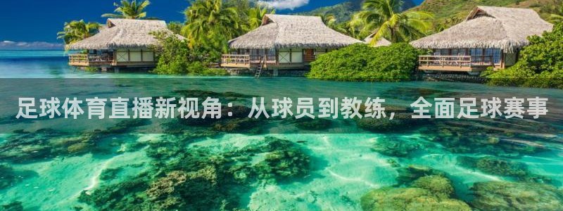 足球体育直播新视角：从球员到教练，全面足球赛事