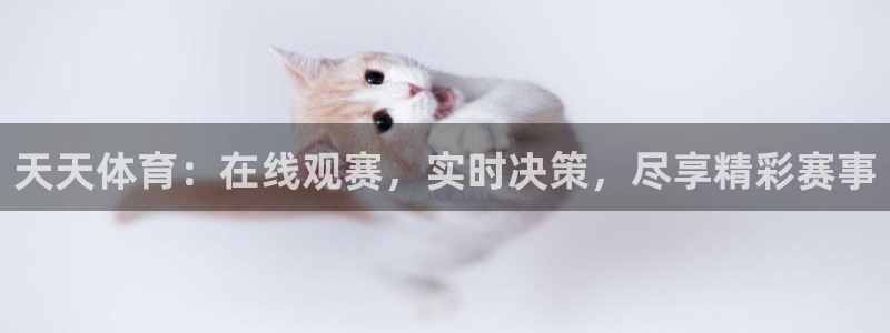 天天体育：在线观赛，实时决策，尽享精彩赛事