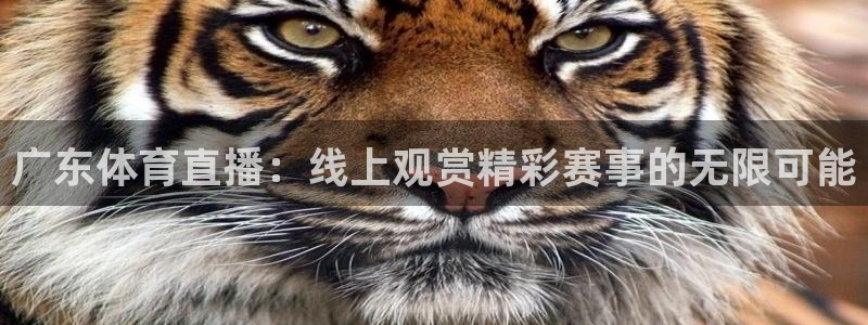 广东体育直播：线上观赏精彩赛事的无限可能