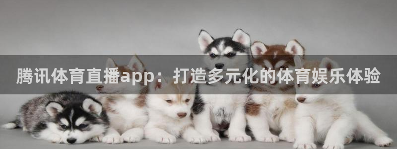 腾讯体育直播app：打造多元化的体育娱乐体验