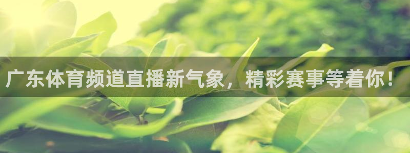 广东体育频道直播新气象，精彩赛事等着你！