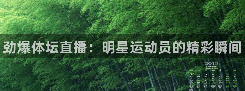 劲爆体坛直播：明星运动员的精彩瞬间